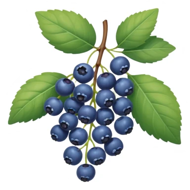 honeysuckle blue berries sticker