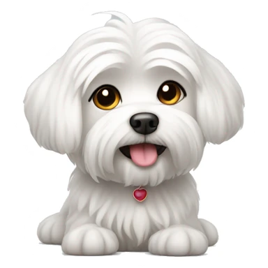 Cute maltese sticker