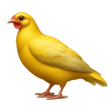 poussin jaune sticker