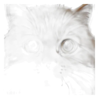 Tête de chat poils marrons cornichon sticker