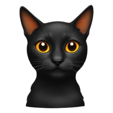 Black Cat with orange noze sticker