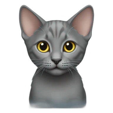 Korat kitten sticker