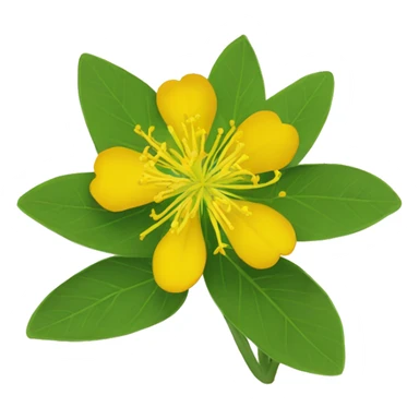 St. John's wort, sticker