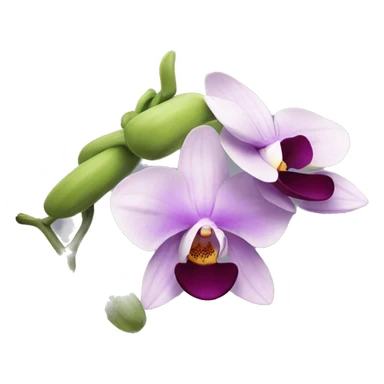 Orchid flower sticker