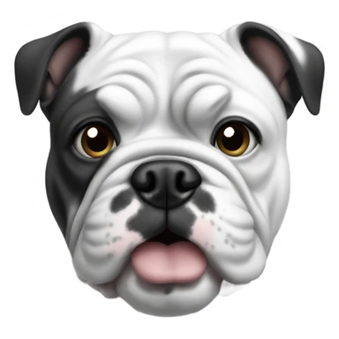 Bulldog francés black and white  sticker