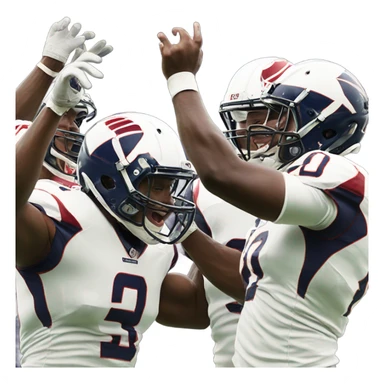 Washington commanders celebrating  sticker