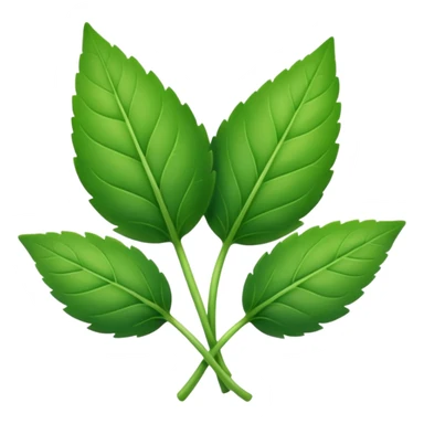 three green leafs of herbs sticker