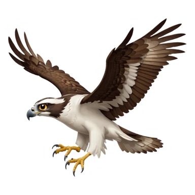 a white osprey flying sticker