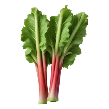 Rhubarb sticker