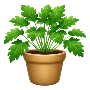 cilantro sticker