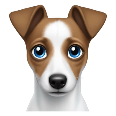 jack russel with two colour eyes one blue one brown sticker