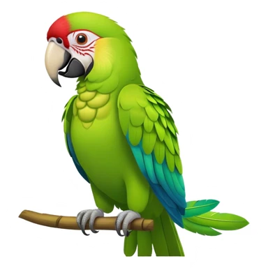 Great Green Macaw sticker