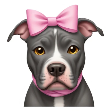 Charcoal grey pitbull with honey colored eyes and pink bows sticker
