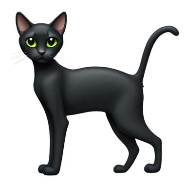 Very skinny black cat sticker