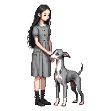 Slim Chinese girl with long black hair petting an Italian greyhound with completely uniform solid grey color throughout its entire body and face, with no white markings anywhere sticker