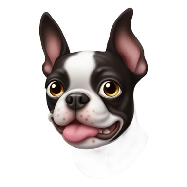 Heart Boston terrier sticker