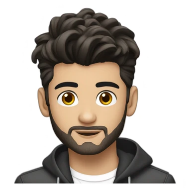 zayn malik with laptop sticker