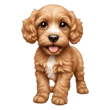 apricot cavapoo puppy sticker