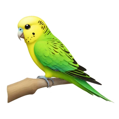 Yellow and green budgie sticker