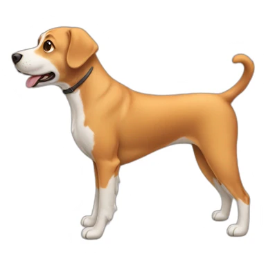 dog for a walk  sticker