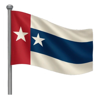 flag of texas sticker