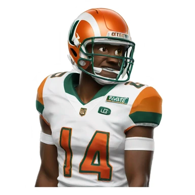 Miami hurricanes sticker