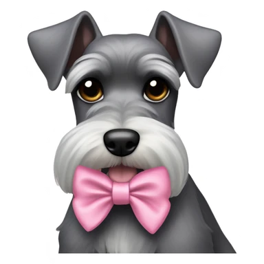 schnauzer pointy ears pink bow  sticker