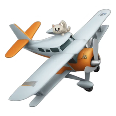 Plane with cat sticker