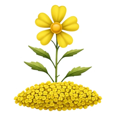 Rapeseed sticker