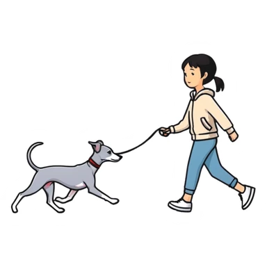 Asian girl walking an all grey Italian greyhound with no white nose, completely grey dog sticker