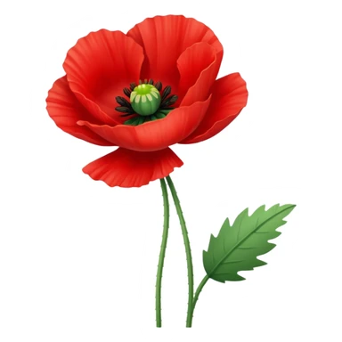 poppy flower sticker