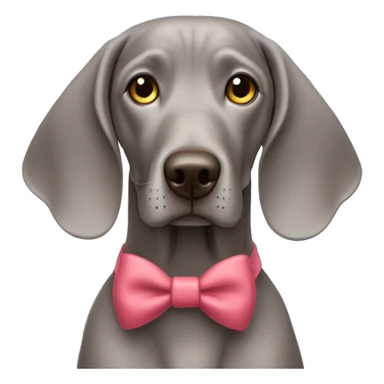 Weimaraner with bow on head sticker