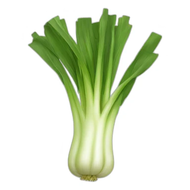leek vegetable sticker
