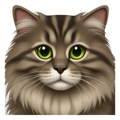 Dark Brown striped fluffy siberian cat with green/light brown eyes sticker