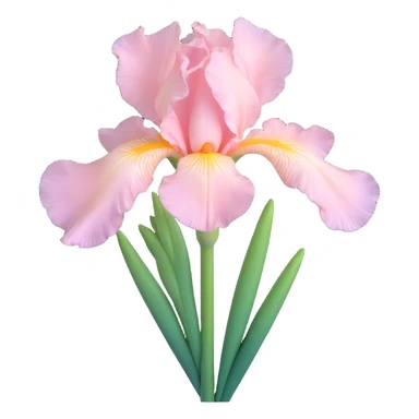 Create a 3D iOS emoji style image of a pale pink iris flower with a green stem. The flower should appear shiny and glossy, with a transparent background. sticker