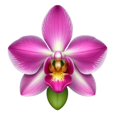 green and pink orchid sticker