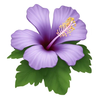 Lilac hibiscus  sticker