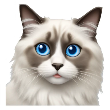 Ragdoll cat with blue eyes at Christmas  sticker