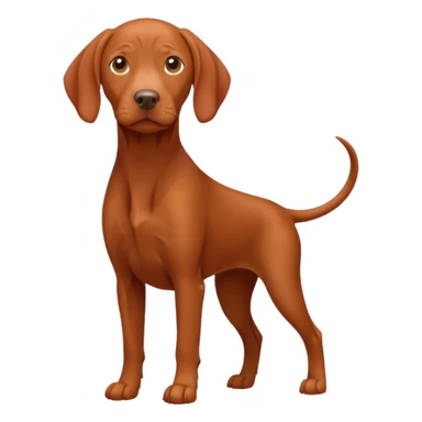 Vizsla sticker