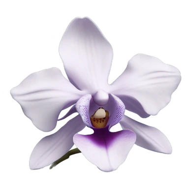 orchid flower blue sticker