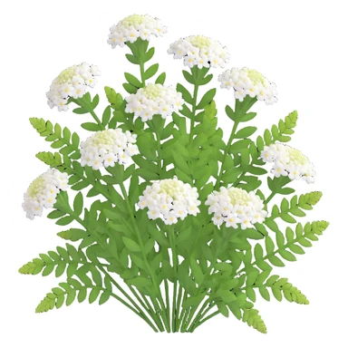 3D iOS style illustration of Achillea millefolium (common yarrow), realistic and vibrant, delicate white flower clusters, feathery green leaves sticker
