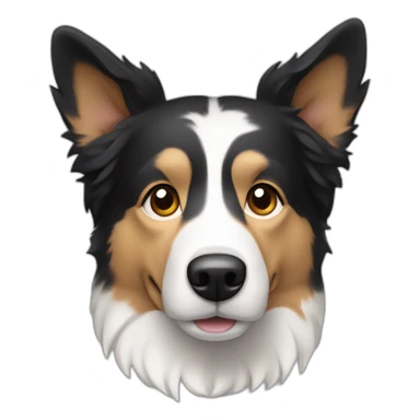 dog, short-hair, black-hair, white-chest, white-stripe-down-face, no-brown, border-collie, mcnab, terrier sticker