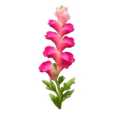 Snapdragon flower sticker