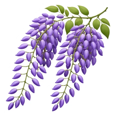 wisteria hanging blossoms sticker