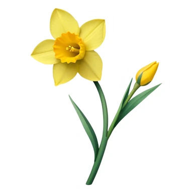 single Daffodil stem sticker