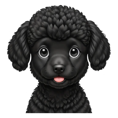 A high-resolution digital illustration of a black poodle in a clean, semi-realistic style. The poodle is shown facing sideways head tilted  sticker