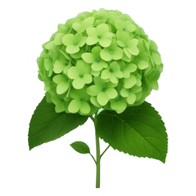 A green hydrangea sticker