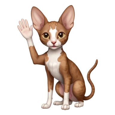 brown colored cornish rex cat waving sticker