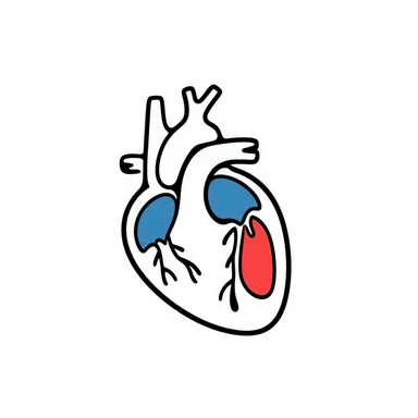 A hand-drawn anatomical heart with detailed chambers and arteries in medical diagram style, showing blue veins and red arteries, with clear internal structure, oxygenated blood in red and deoxygenated blood in blue sticker