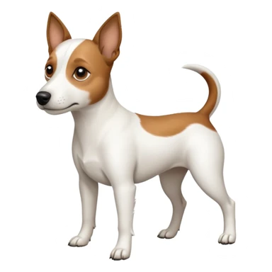 a full body white jack russel looking dog the size of a kelpie with light brown ears and a light brown patch on one eye, flopped down ears and a large snout sticker